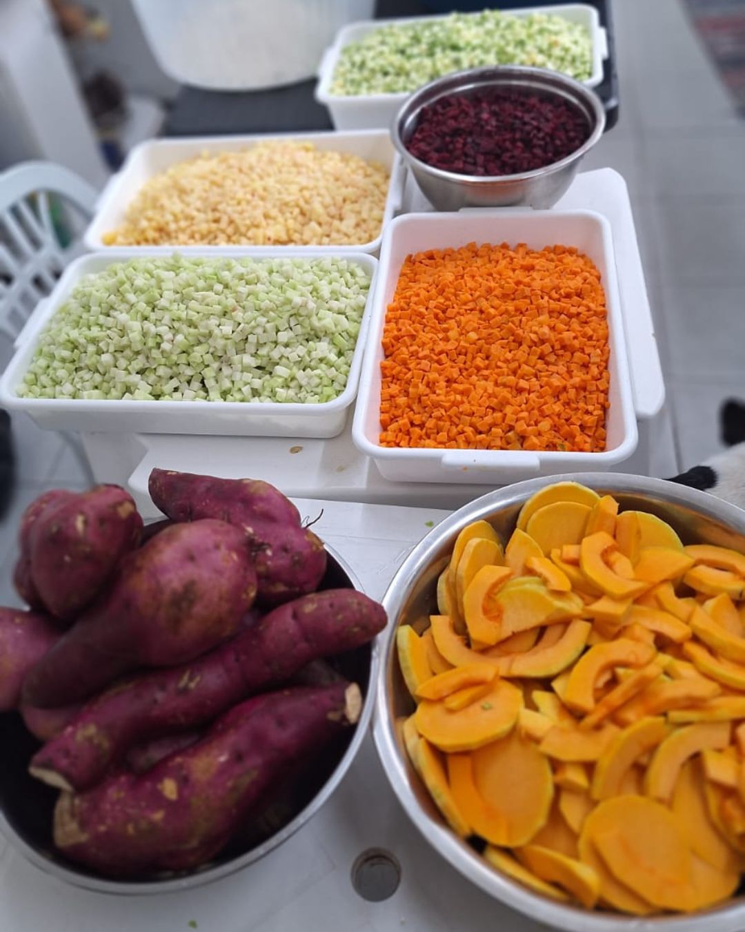 Ingredientes frescos preparados na cozinha Pet Four: abóbora, cenoura e outros legumes