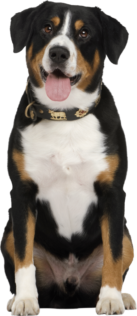 Design sem nome (44)