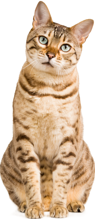 Design sem nome (45)